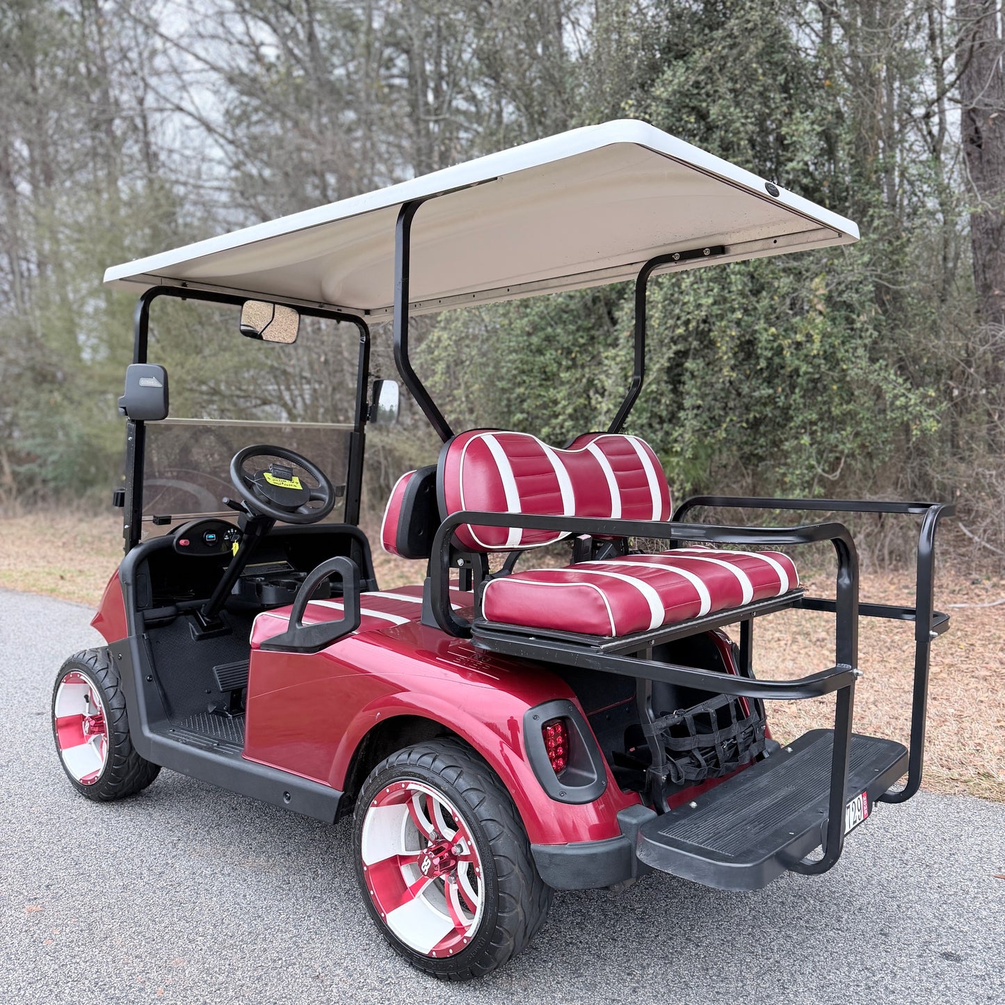 EZGO RXV 2014 - New Lithium Battery - $6,500